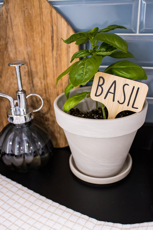 basil-garden-stake