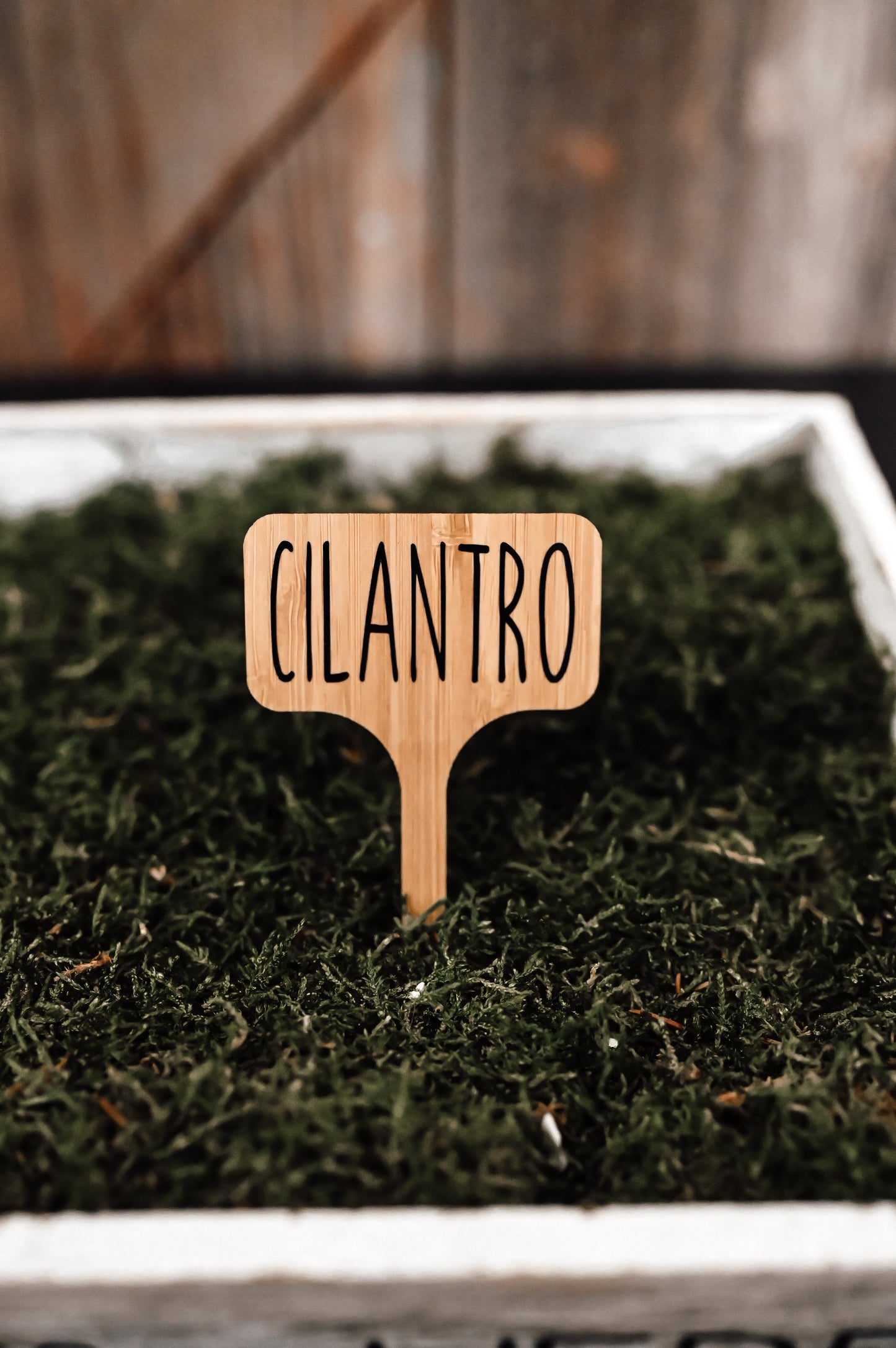 cilantro-garden-label