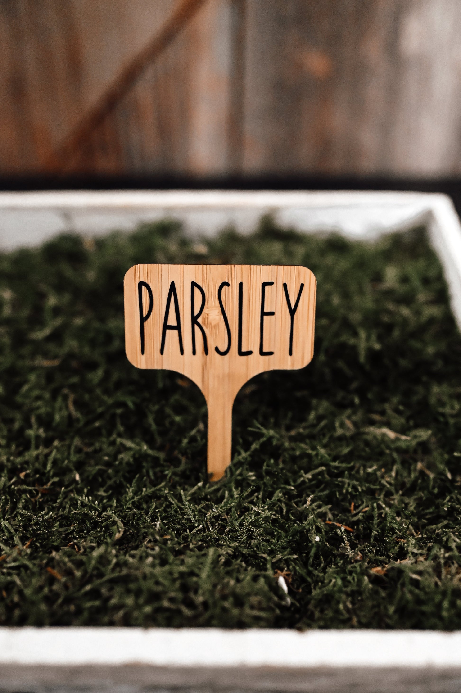 parsley-bamboo-garden-stake