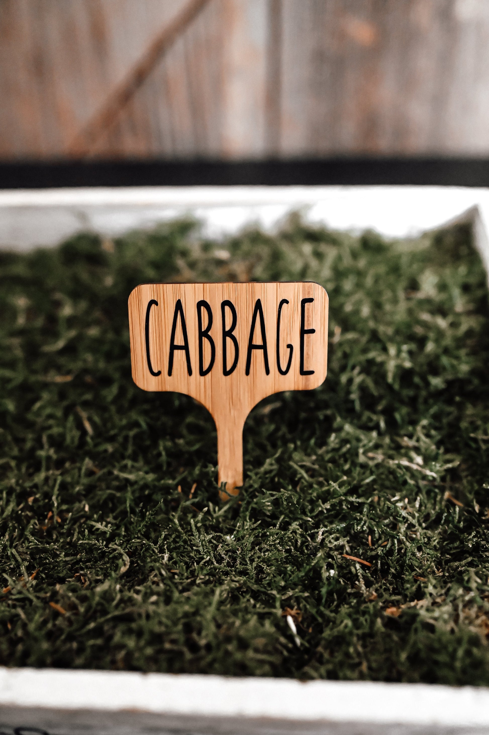 garden-stake-label-cabbage