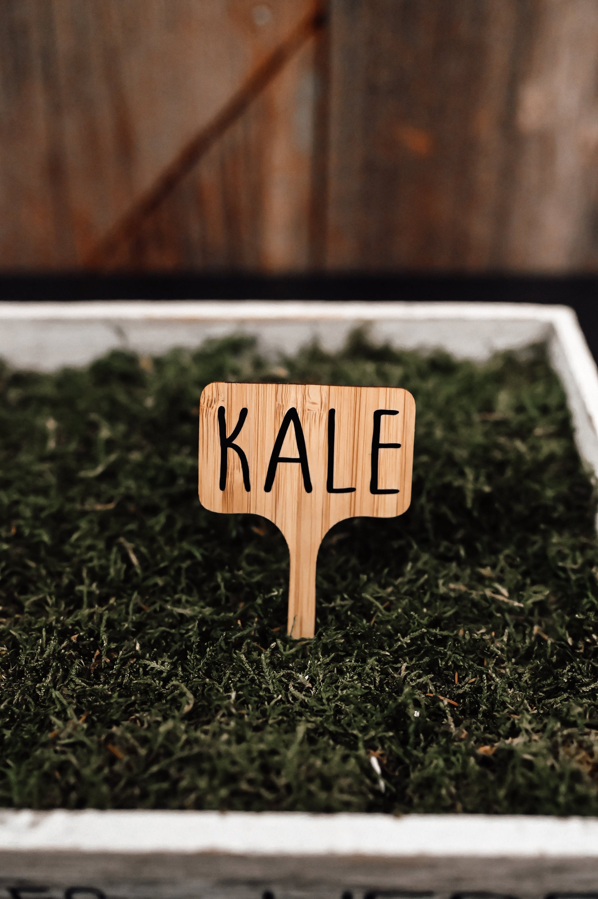 kale-garden-stake-label