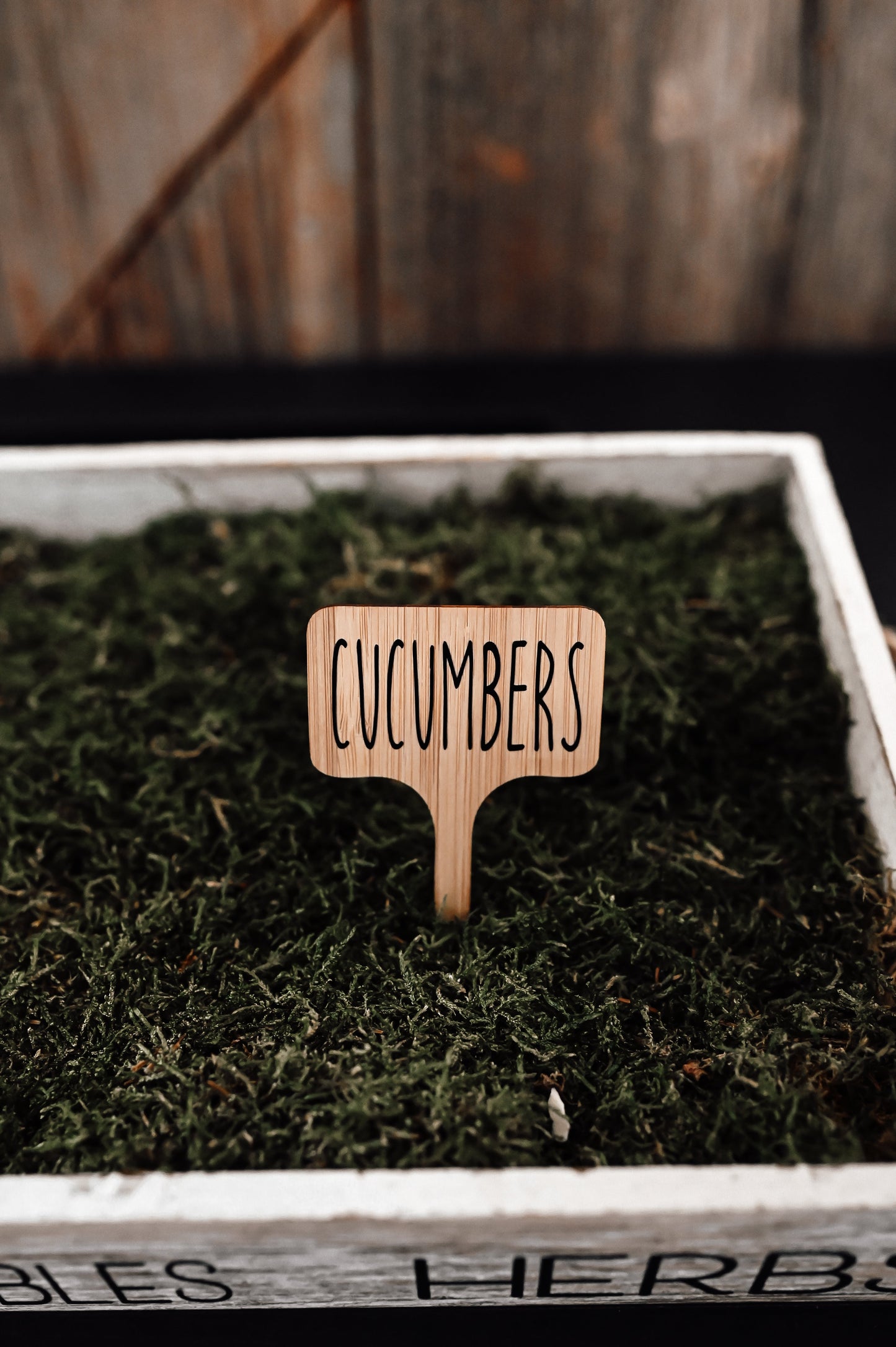 cucumber-garden-stake-label