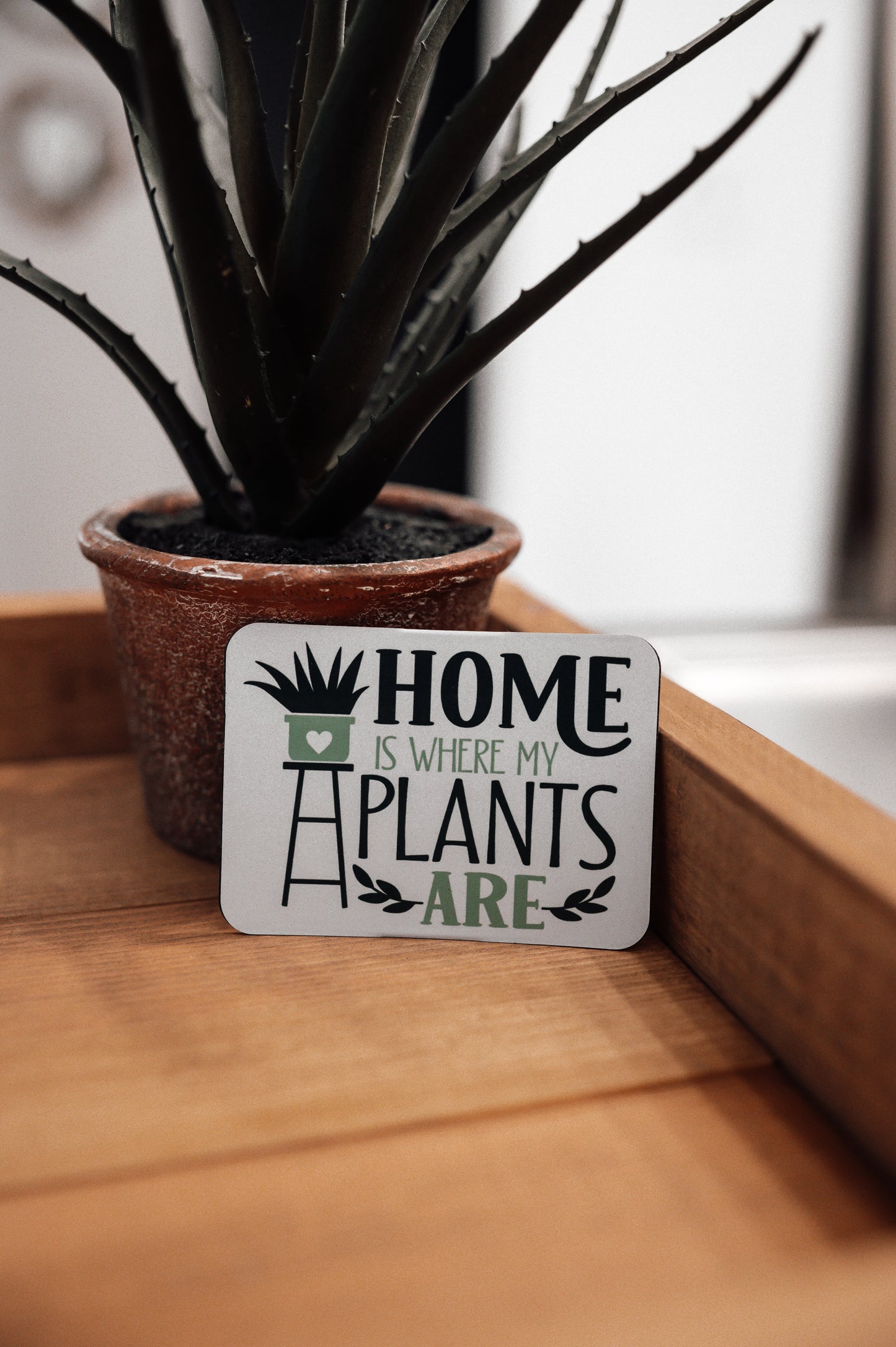 plants-refrigerator-magnet
