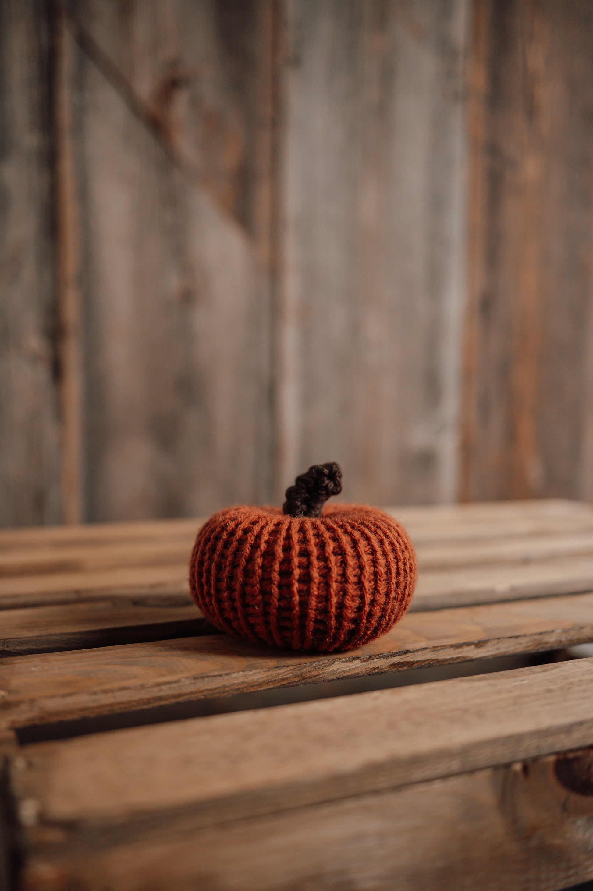 small-rust-knit-pumpkin